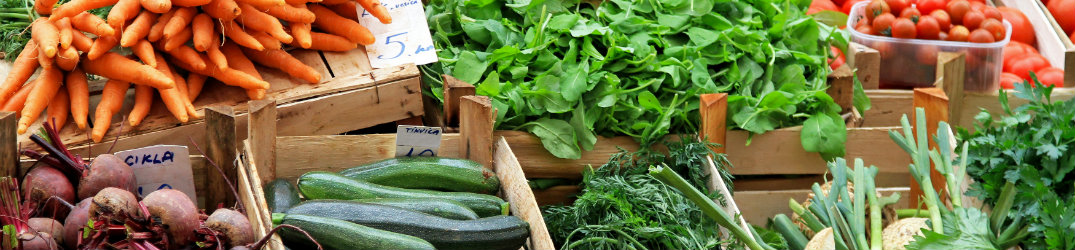 farmers market toms river nj jersey