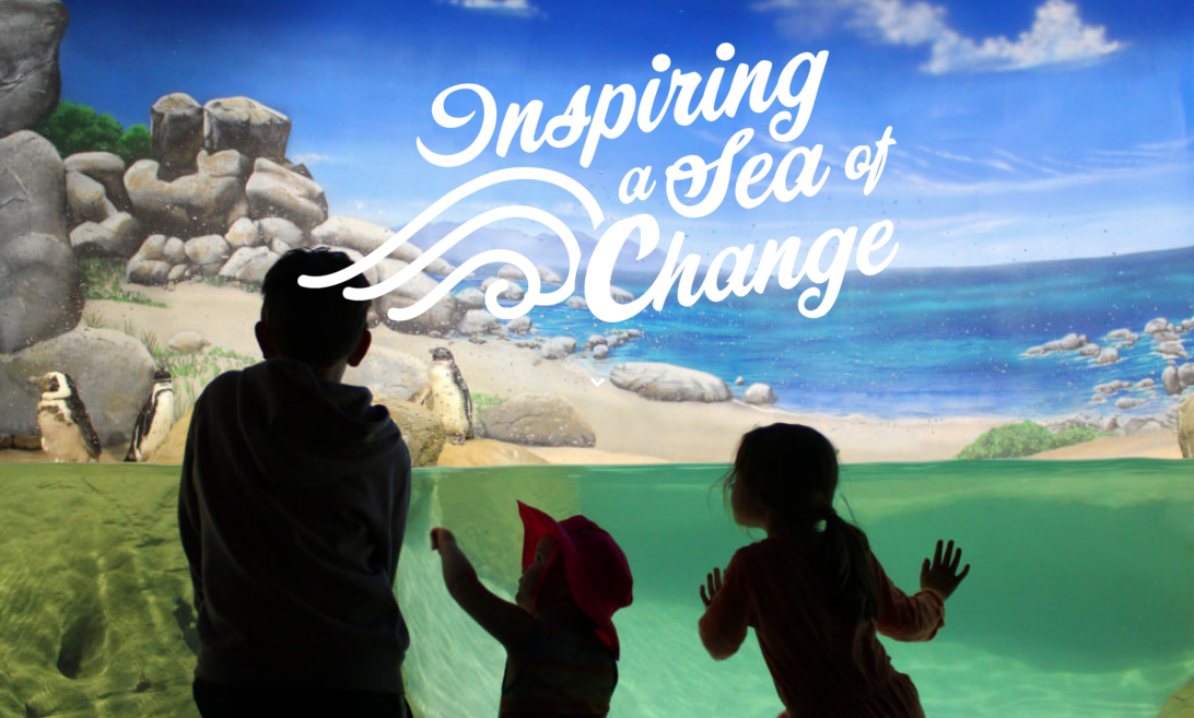 Family Indoor Activities: Local Aquarium