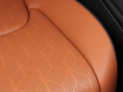 2026 Kia Carnival DARK EDITION