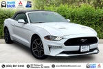2023 Ford Mustang Eco Premium