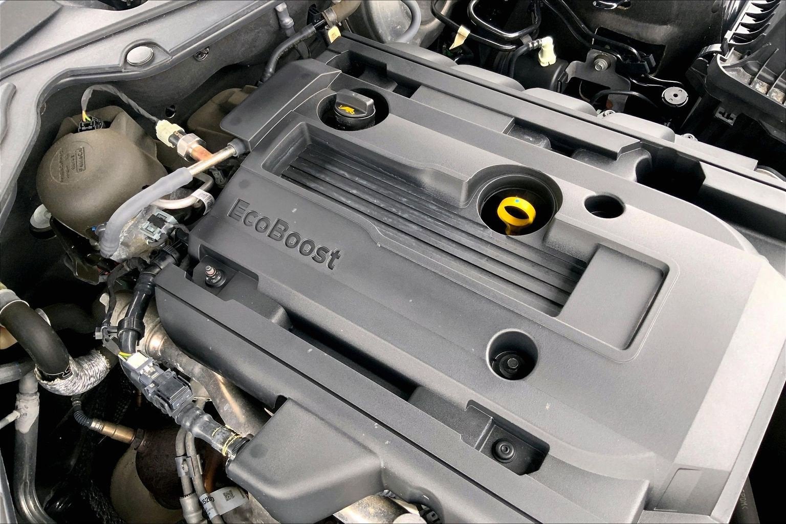 2019 Ford Mustang Eco