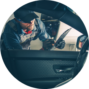 Vehicle inspection and collection