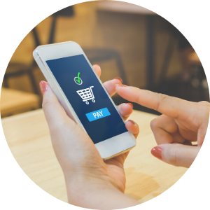 Online Payment and receipt